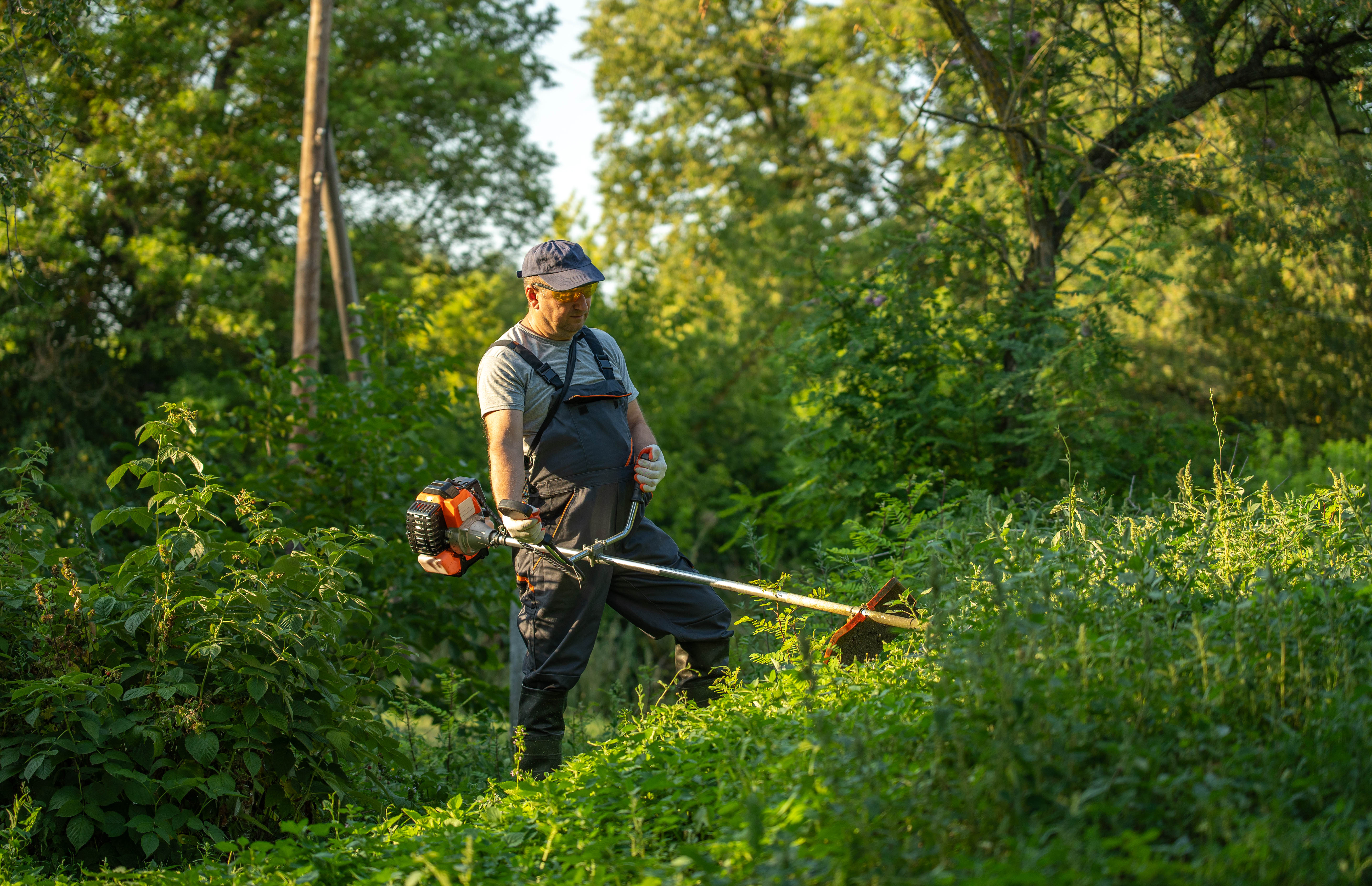 A worker stands on a slope using a brush cutter to clear tall grass. He is surrounded by trees and shrubs. It is a sunny day in a natural setting.